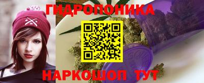 гидра Моздок