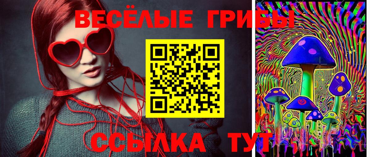 Псилоцибиновые грибы мицелий  Вход с VPN  Долгопрудный 